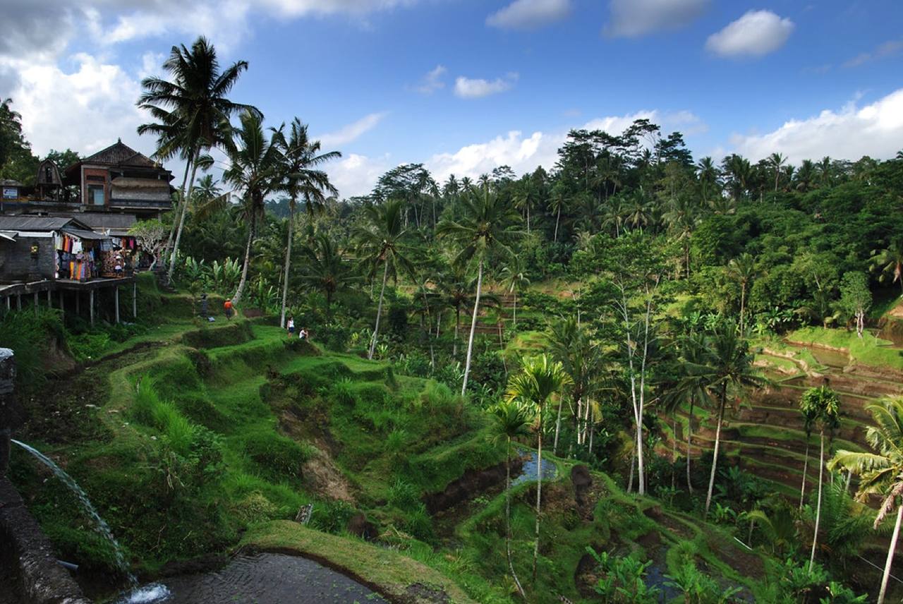 Paysage : Indonésie